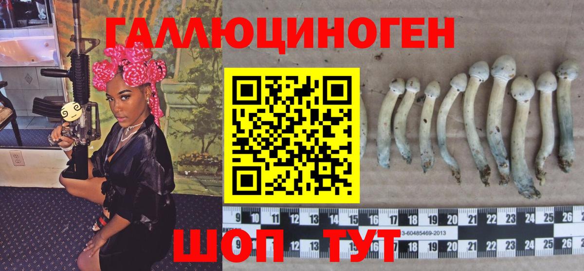 Псилоцибиновые грибы Psilocybine cubensis  Вход с VPN  Псилоцибиновые грибы Cubensis  Миллерово 